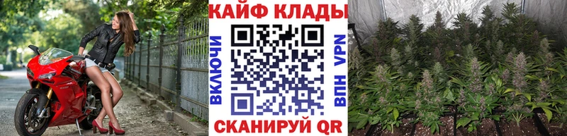 Купить закладку КОКАИН  Марихуана  Мефедрон  А ПВП  Галлюциногенные грибы  ГАШ  Суджа