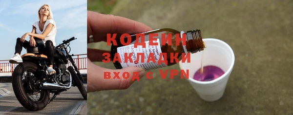 хмурый Корсаков