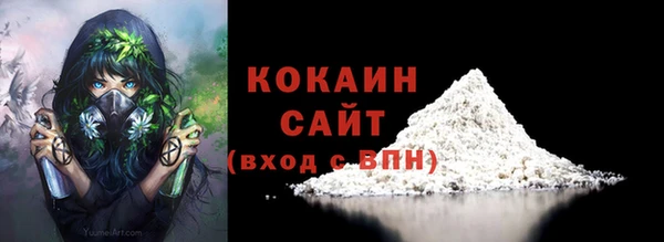 хмурый Корсаков