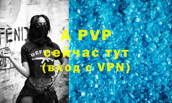 хмурый Корсаков