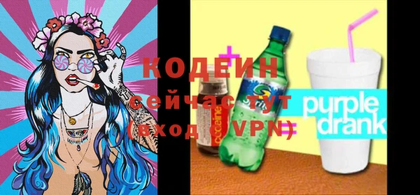 хмурый Корсаков