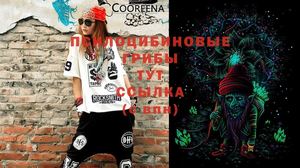 хмурый Корсаков