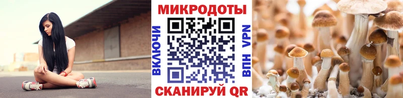 Галлюциногенные грибы MAGIC MUSHROOMS Купить Суджа